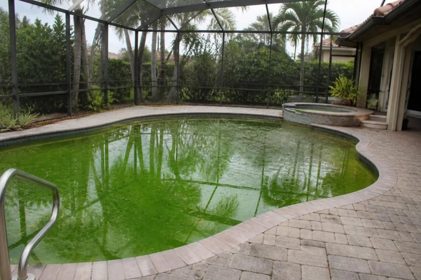 Green algae pool inside a screened enclosure